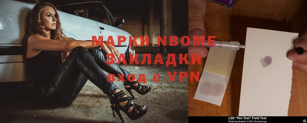 прущие грибы Балабаново