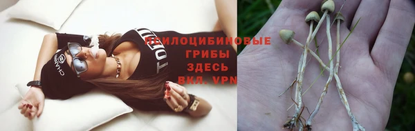 скорость Балахна
