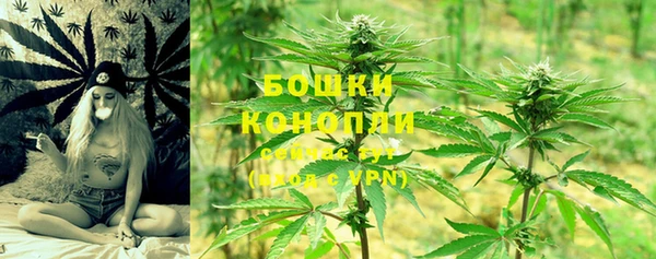 прущие грибы Балабаново