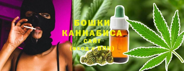 прущие грибы Балабаново